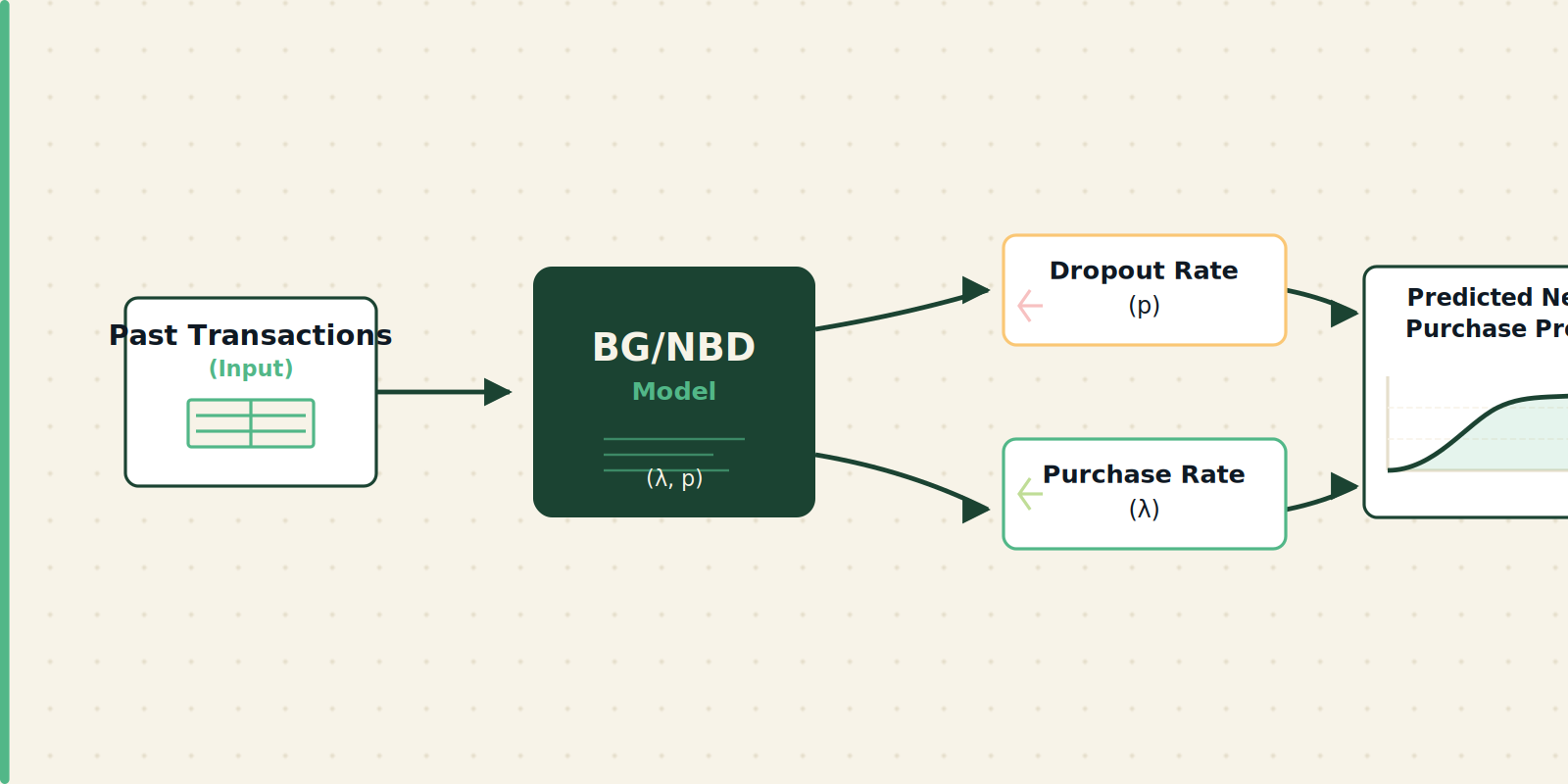 BG/NBD model architecture: inputs (customer transactions) lead to parameters (dropout rate, purchase rate) and output (probability curve)