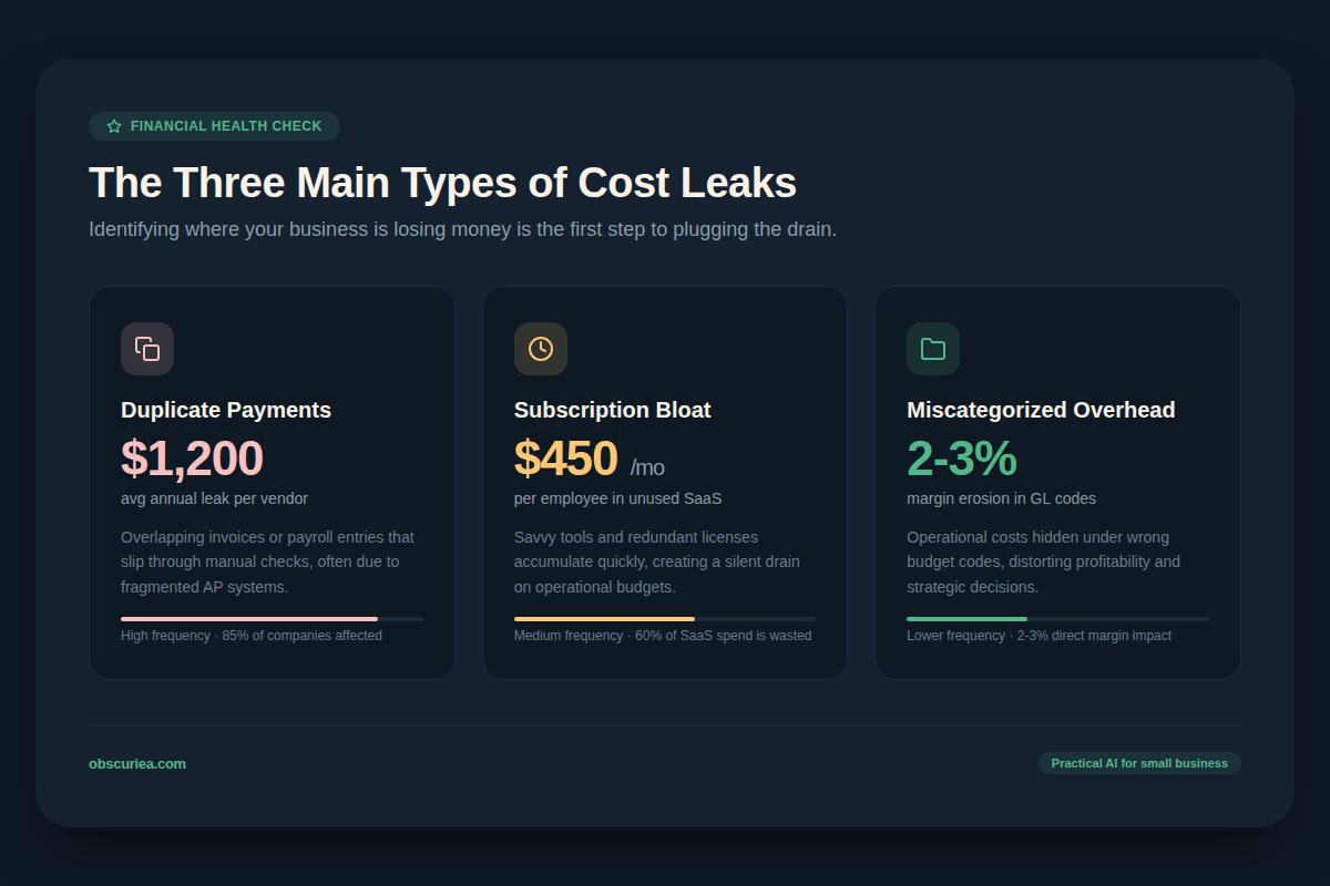 Examples of cost leaks detected by expense categorization: duplicate payments, subscription bloat, miscategorized overhead